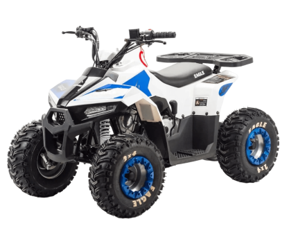 Квадроцикл MOTOLAND 110 Eagle (2021 Г.), фото 1