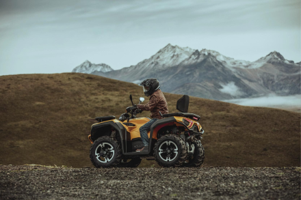 Квадроцикл HISUN Guardian 400L Long, фото 22