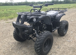 Квадроцикл HAMMER Hunter 300, фото 2