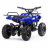 Квадроцикл MOTAX Mini Grizlik X-16 800W