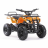 Квадроцикл MOTAX Mini Grizlik X-16 800W