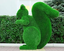 Топиари белка Лора - газон Deluxe Топиари белка Лора - газон Deluxe