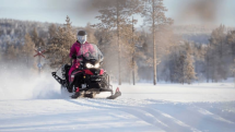 Снегоход BRP Lynx 59 Ranger 900 Ace Alpine (2022)