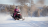 Снегоход BRP Lynx 59 Ranger 900 Ace Alpine (2022)