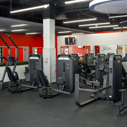 E-7002 Разгибание ног сидя (Leg Extension). Стек 110 кг., фото 4