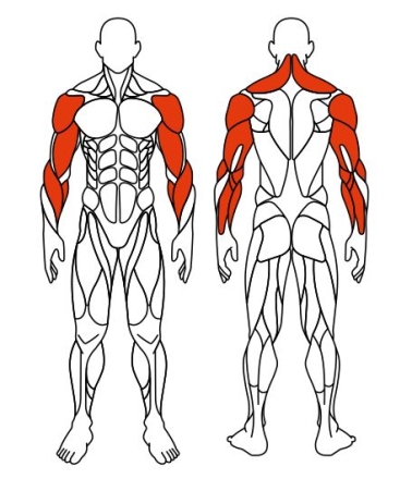 Рули (положение сидя) серый - Уличный тренажер - СТ 106-13, фото 6