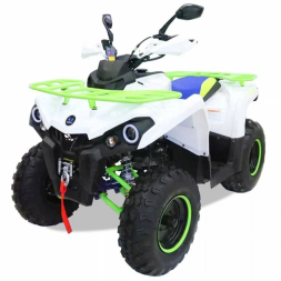 Квадроцикл MOTAX ATV Grizlik 200 New, фото 1