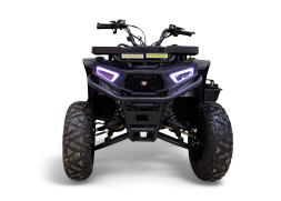 Квадроцикл MOTAX Grizlik W200, фото 3