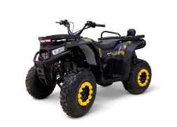 Квадроцикл MOTAX Grizlik W200, фото 1