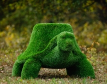 Топиари Черепаха с кашпо, Мудрая газон Eco Топиари Черепаха с кашпо, Мудрая газон Eco