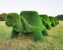 Топиари Черепаха с кашпо, Мудрая газон Eco Топиари Черепаха с кашпо, Мудрая газон Eco