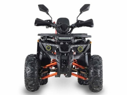 Квадроцикл GRIZZLY Aerox 125, фото 4