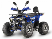 Квадроцикл GRIZZLY Aerox 125
