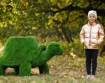 Топиари Черепаха с кашпо, Мудрая газон Premium Топиари Черепаха с кашпо, Мудрая газон Premium