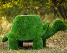 Топиари Черепаха с кашпо, Мудрая газон Premium Топиари Черепаха с кашпо, Мудрая газон Premium