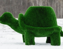 Топиари Черепаха с кашпо, Мудрая газон Premium Топиари Черепаха с кашпо, Мудрая газон Premium