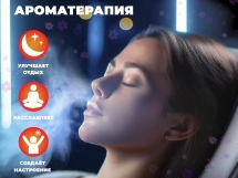 Массажное кресло FUJIMO EXCELSIOR F900 Шампань Массажное кресло FUJIMO EXCELSIOR F900 Шампань