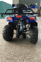 Квадроцикл ATV Atomik Sport