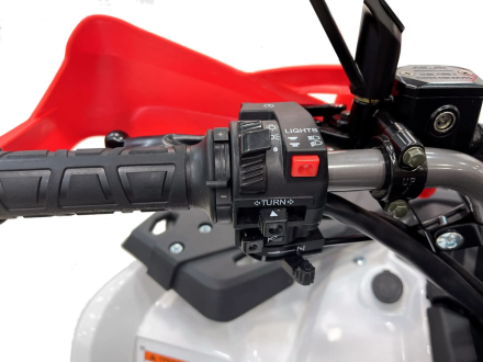 Квадроцикл MOTAX Grizlik 200 ULTRA BIG, фото 19