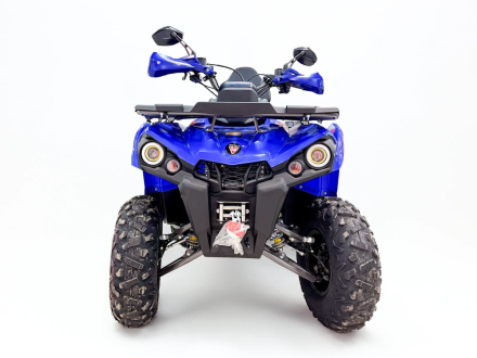 Квадроцикл MOTAX Grizlik 200 ULTRA BIG, фото 12