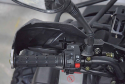 Квадроцикл GRIZZLY 200, фото 7