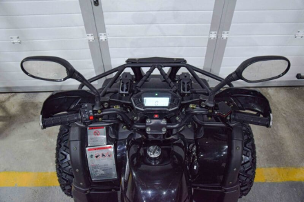 Квадроцикл GRIZZLY 200, фото 6