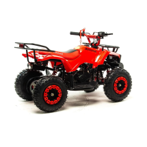 Квадроцикл MOTOLAND 50 Scorpion (2021 Г.)