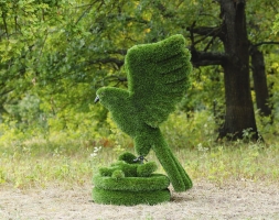 Топиари орел - газон Deluxe, фото 3