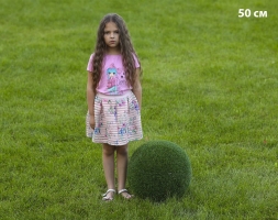 Топиари Шар в виде куста туи, 70 см - газон Eco, фото 3