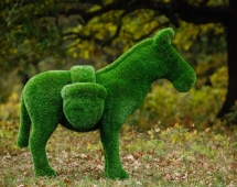 Топиари Ослик с кашпо газон Eco Топиари Ослик с кашпо газон Eco