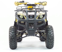 Квадроцикл MOTOLAND 250 Adventure (2021 Г.)