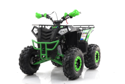 Квадроцикл MOTAX Grizlik A125, фото 16 Квадроцикл MOTAX Grizlik A125, фото 16