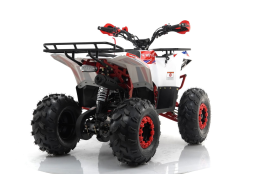 Квадроцикл MOTAX Grizlik A125, фото 11 Квадроцикл MOTAX Grizlik A125, фото 11