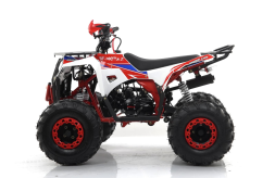 Квадроцикл MOTAX Grizlik A125, фото 10 Квадроцикл MOTAX Grizlik A125, фото 10