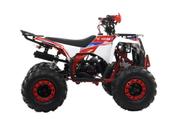 Квадроцикл MOTAX Grizlik A125, фото 9 Квадроцикл MOTAX Grizlik A125, фото 9