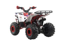 Квадроцикл MOTAX Grizlik A125, фото 8 Квадроцикл MOTAX Grizlik A125, фото 8