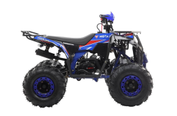 Квадроцикл MOTAX Grizlik A125, фото 4 Квадроцикл MOTAX Grizlik A125, фото 4