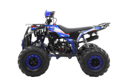 Квадроцикл MOTAX Grizlik A125, фото 3 Квадроцикл MOTAX Grizlik A125, фото 3