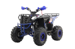 Квадроцикл MOTAX Grizlik A125, фото 1 Квадроцикл MOTAX Grizlik A125, фото 1