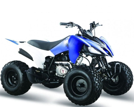 Квадроцикл МОТОМИР Pantera 125, фото 1