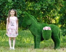 Топиари Ослик с кашпо газон Premium Топиари Ослик с кашпо газон Premium