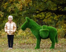 Топиари Ослик с кашпо газон Premium Топиари Ослик с кашпо газон Premium