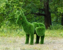 Топиари Ослик с кашпо газон Premium Топиари Ослик с кашпо газон Premium