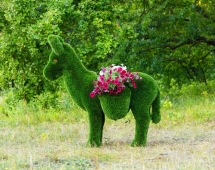 Топиари Ослик с кашпо газон Premium Топиари Ослик с кашпо газон Premium