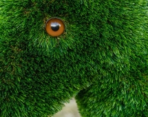 Топиари Ослик с кашпо газон Premium Топиари Ослик с кашпо газон Premium