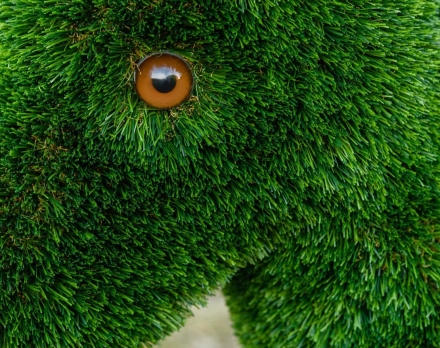 Топиари Ослик с кашпо газон Premium, фото 14