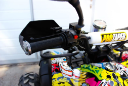 Квадроцикл GRIZZLY Pro 125cc, фото 8