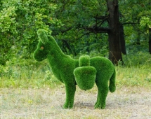 Топиари Ослик с кашпо газон Deluxe Топиари Ослик с кашпо газон Deluxe