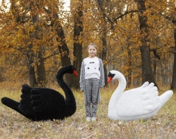 Топиари композиция лебеди Мони и Блэк - газон Eco, фото 2