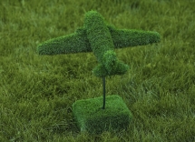 Топиари Самолет - газон Eco Топиари Самолет - газон Eco